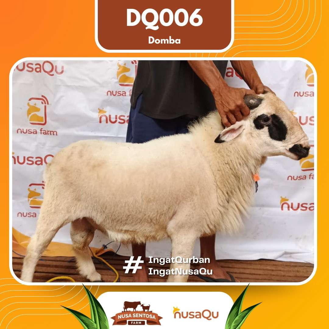Priangan DQ006 2026 Bobot 50Kg