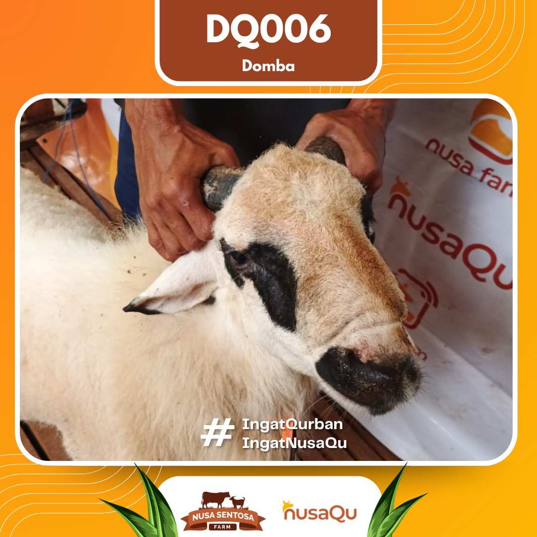 Priangan DQ006 2026 Bobot 50Kg foto 2