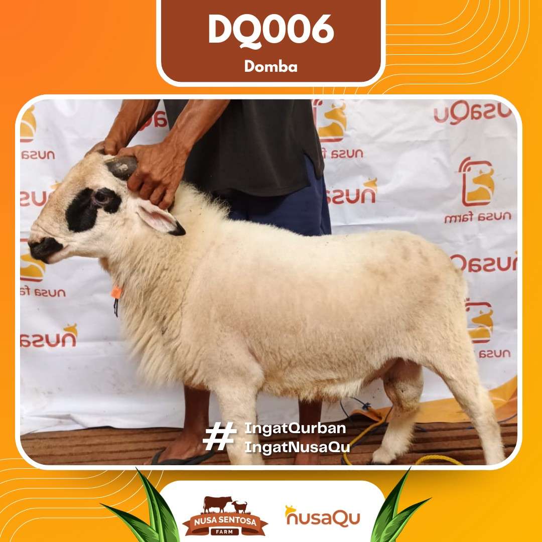 Priangan DQ006 2026 Bobot 50Kg foto 3